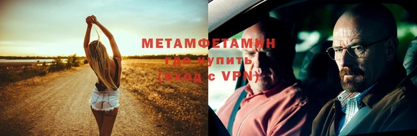 прущие грибы Магадан