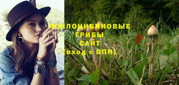 мяу мяу мука Медвежьегорск