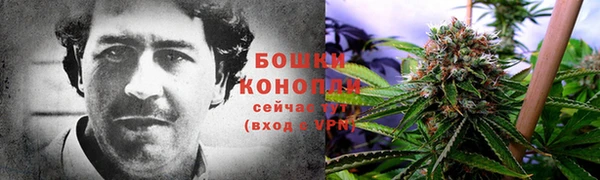 СК Медногорск