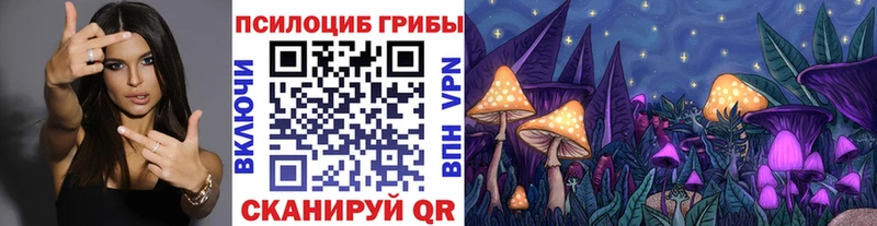 Псилоцибиновые грибы мицелий  Тейково 