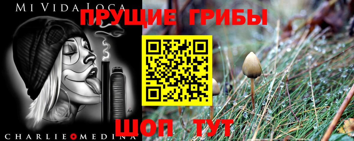 Псилоцибиновые грибы Cubensis  цена наркотик  Псилоцибиновые грибы Cubensis  Тейково  Вход с VPN 