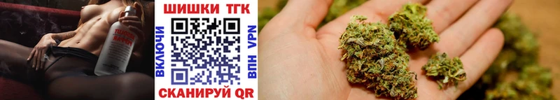 Бошки Шишки план  Тейково 